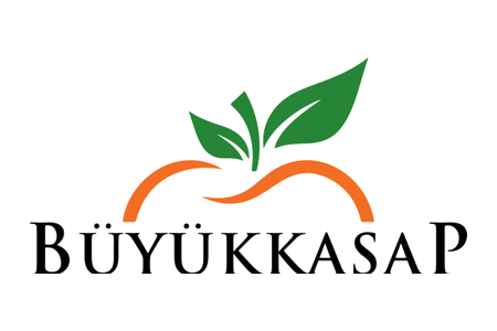 Büyükkasap